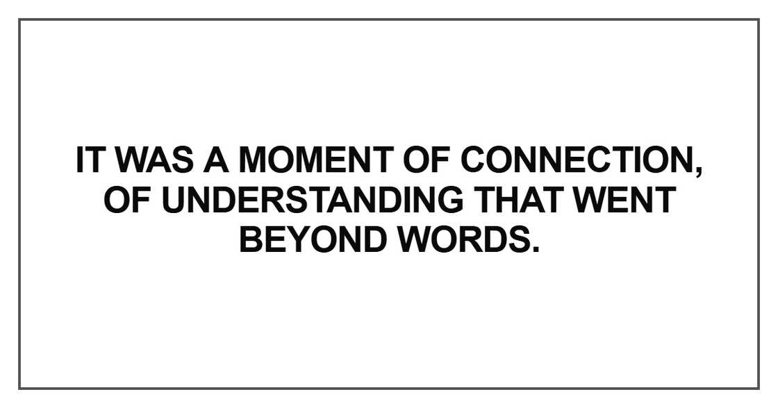 It was a moment of connection, of understanding that went beyond words