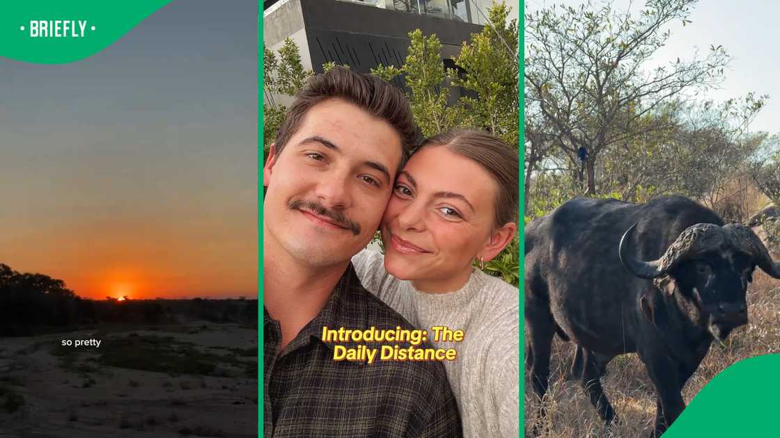 SA couple shares unforgettable Kruger camping experience in viral TikTok vlog