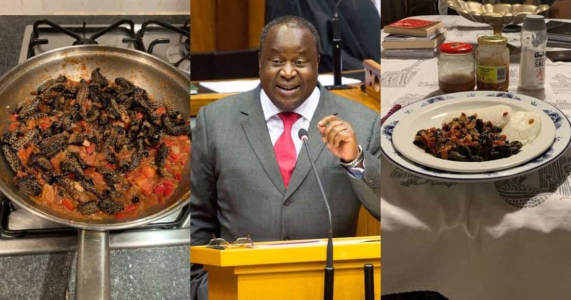 Mboweni, Mopani worms, reactions Mboweni, Mopani worms, reactions