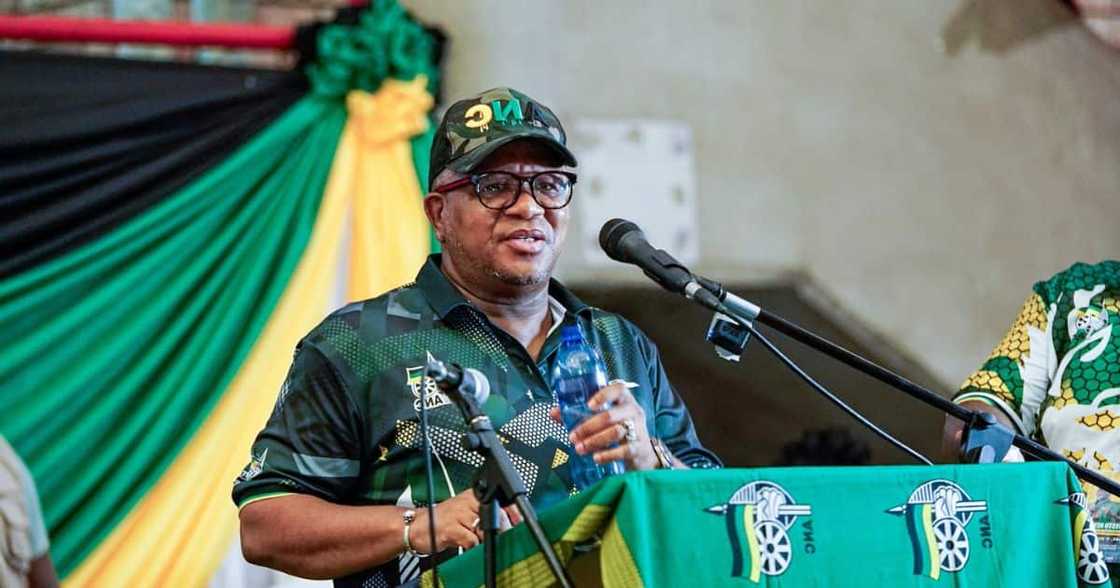 Fikile Mbalula claimed parties are trying to destroy the AN Fikile Mbalula claimed parties are trying to destroy the AN