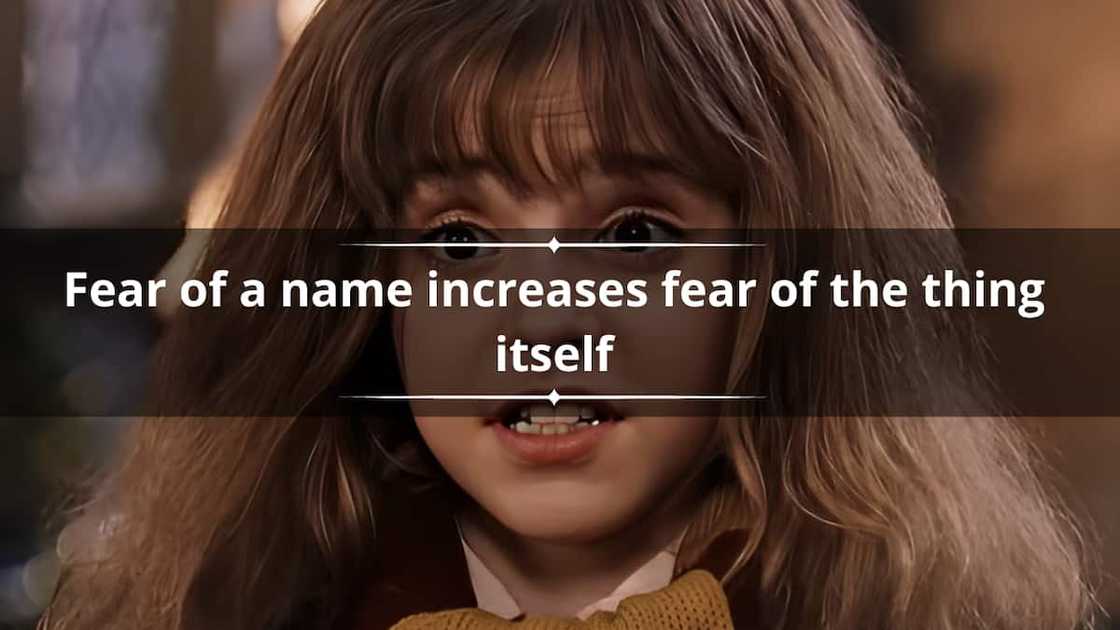 Hermione Granger lines Hermione Granger lines