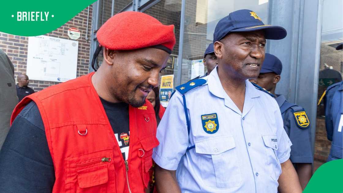 The EFF said that Operation Dudula has no mandate to harass people in clinics and hospitals.