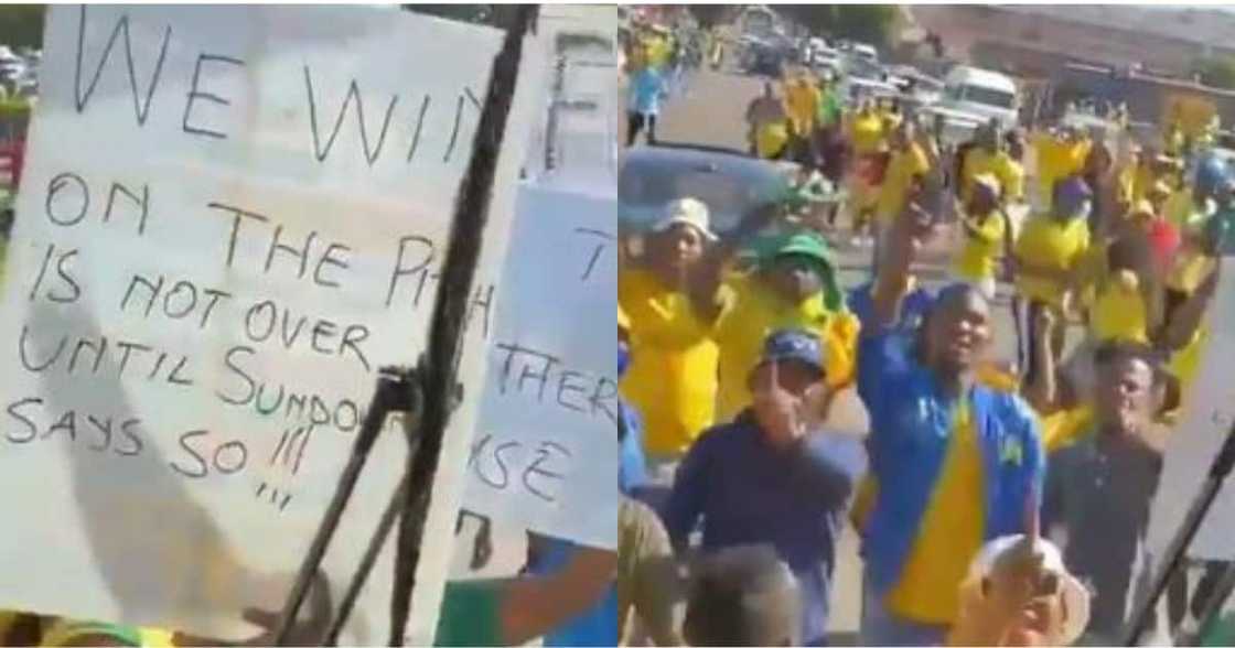 "Mosimane is an exceptional African coach": EFF demands that SAFA fine Sundowns "Mosimane is an exceptional African coach": EFF demands that SAFA fine Sundowns