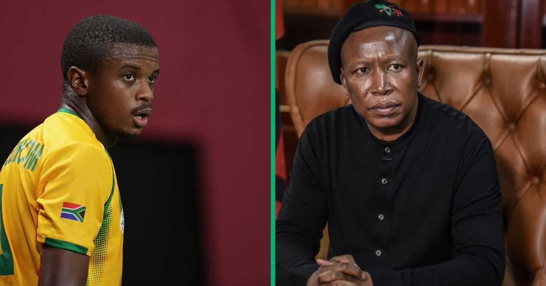 Teboho Mokoena said Julius Malema is his favourite president