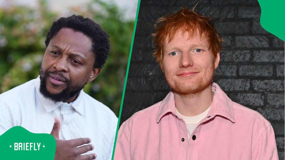 Mbuyiseni Ndlozi reacts to Ed Sheeran's Gaza speech