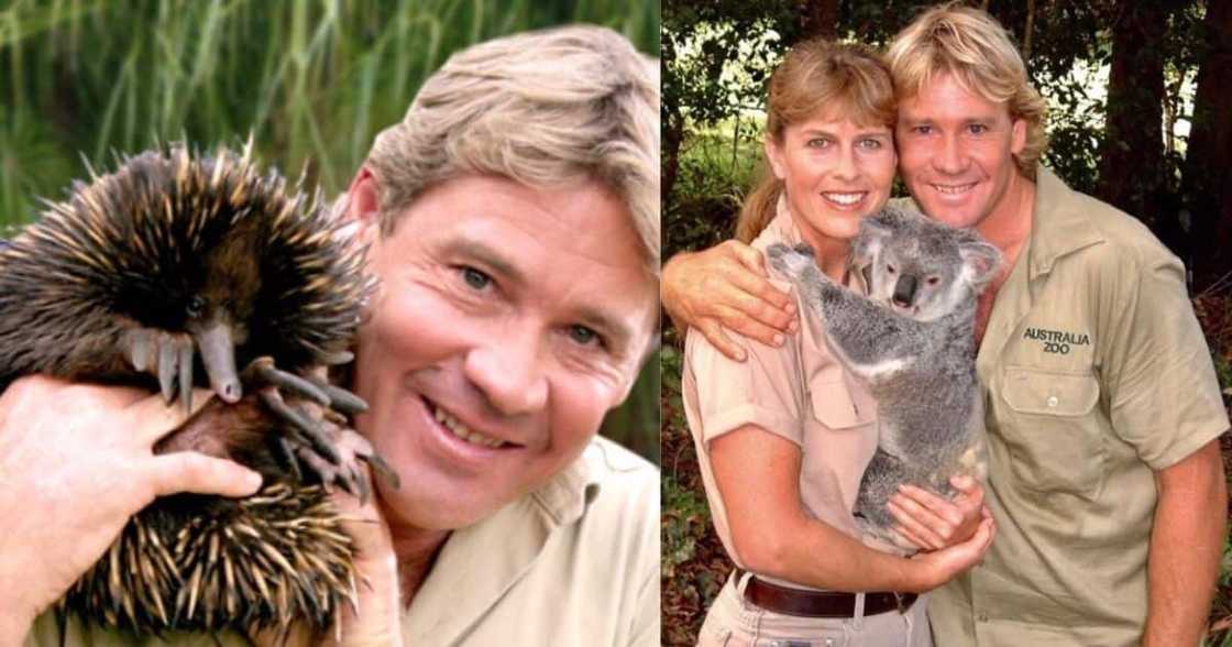 How did Steve Irwin die? How did Steve Irwin die?