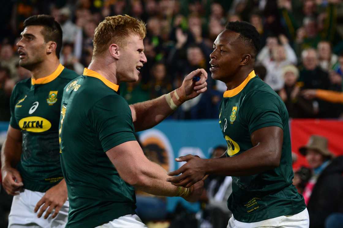 Springboks, South Africa, Jean-Luc du Preez Springboks, South Africa, Jean-Luc du Preez