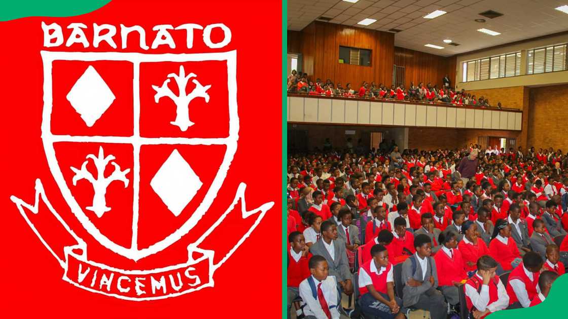 Barnato Park High School logo and students Barnato Park High School logo and students