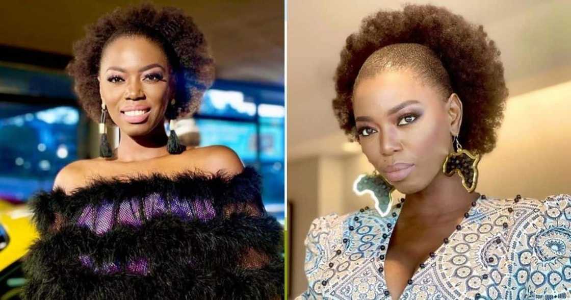 Lira, suffers a stroke, in Germany, speech impacted Lira, suffers a stroke, in Germany, speech impacted