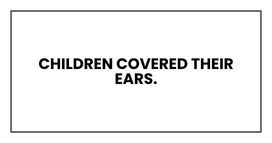 During generator noise. During generator noise.
