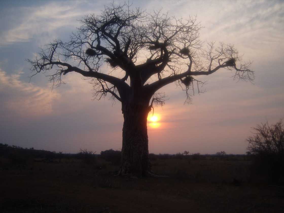 What are five heritage sites in South Africa? What are five heritage sites in South Africa?