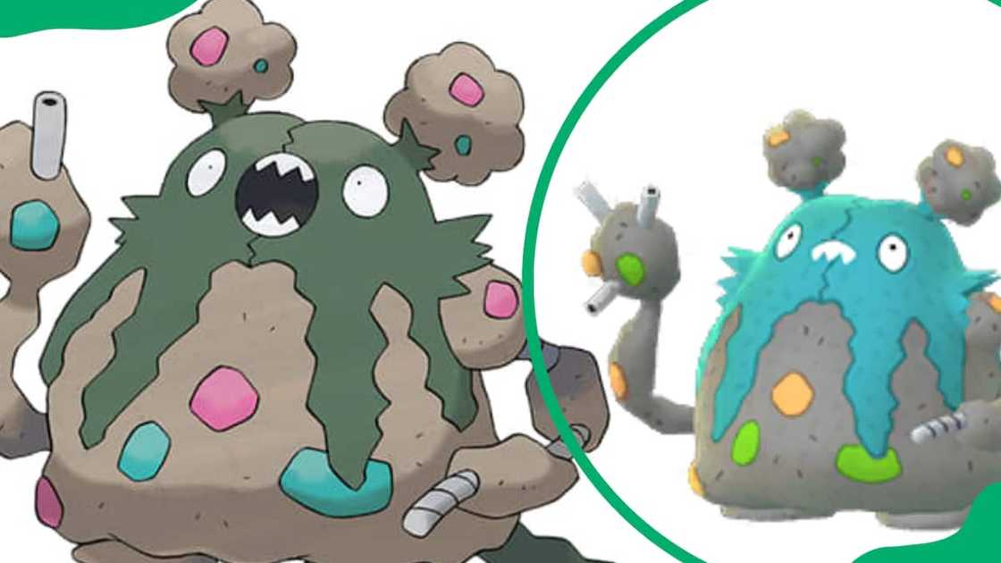 Garbodor Pokemon Garbodor Pokemon