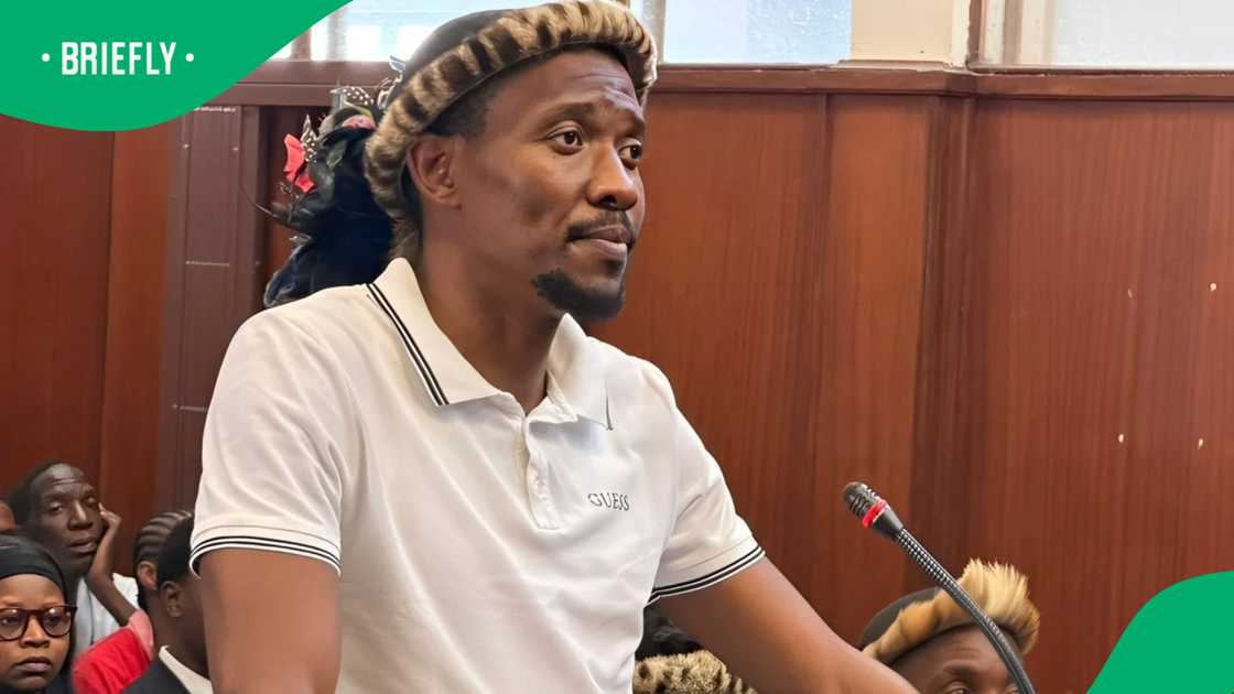 Wandile Nsibande, who was arrested for the March and March protest, is a parolee Wandile Nsibande, who was arrested for the March and March protest, is a parolee
