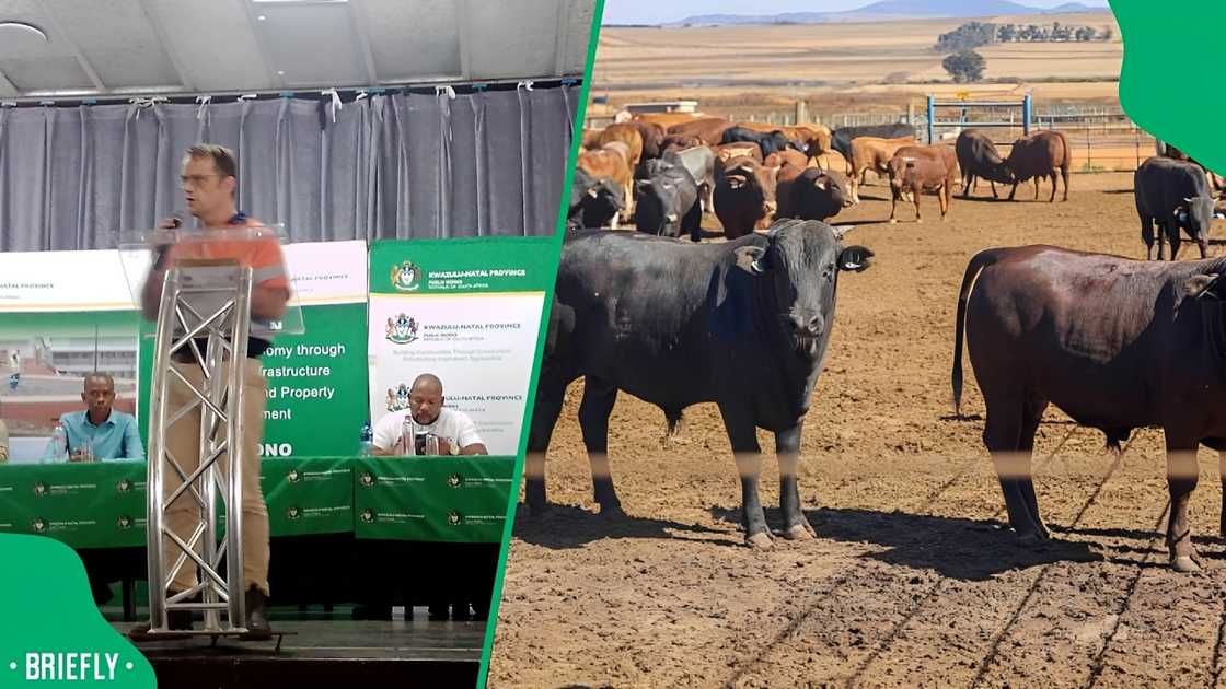 MEC engages on FMD crisis MEC engages on FMD crisis