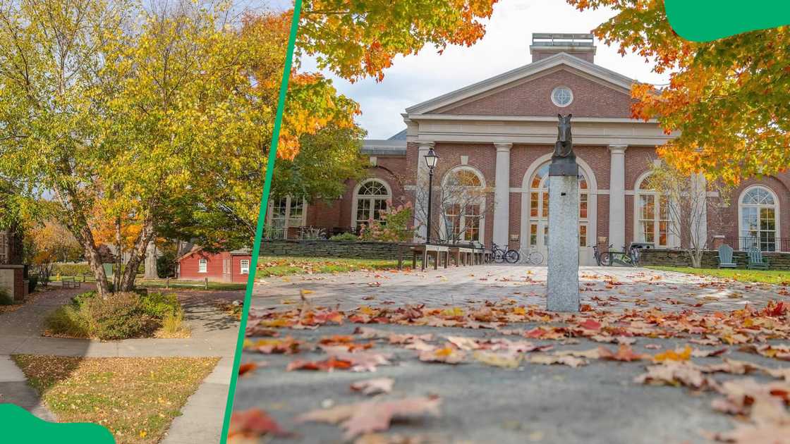 The Holdovers film used 5 distinct MA campuses The Holdovers film used 5 distinct MA campuses
