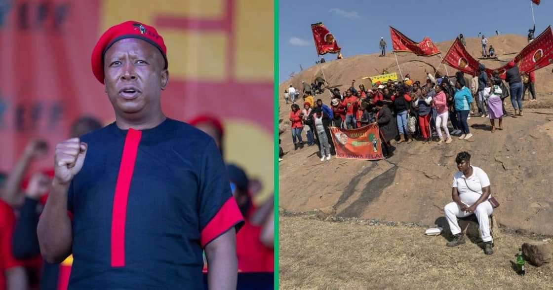 The Economic Freedom Fighters turned 10 on Wednesday 26 July