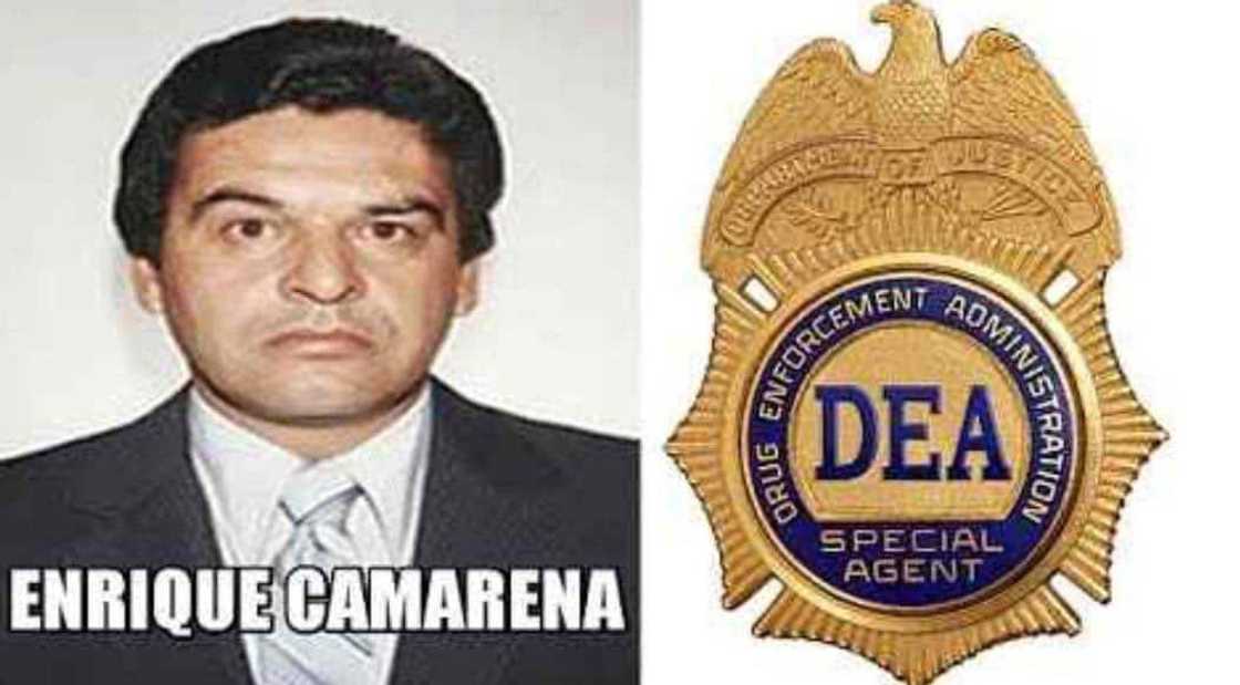 Felix Gallardo now Felix Gallardo now