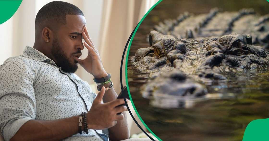 A man was shocked to find a crocodile in his home A man was shocked to find a crocodile in his home