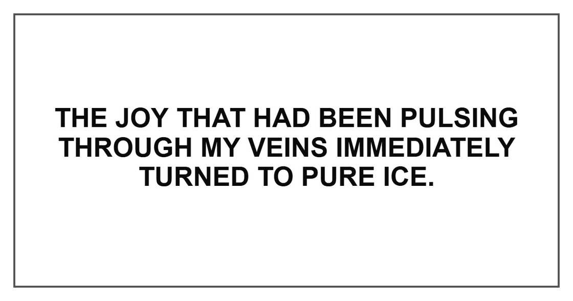 The joy that had been pulsing through my veins immediately turned to pure ice.