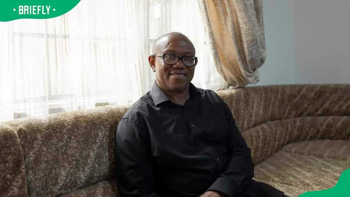 Peter Obi's net worth Peter Obi's net worth