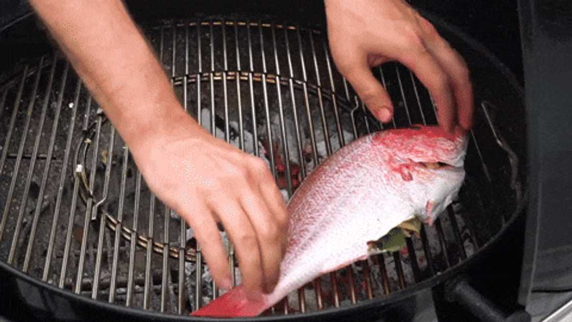 Open fish braai Open fish braai