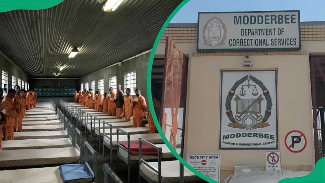 maximum prisons in South Africa maximum prisons in South Africa