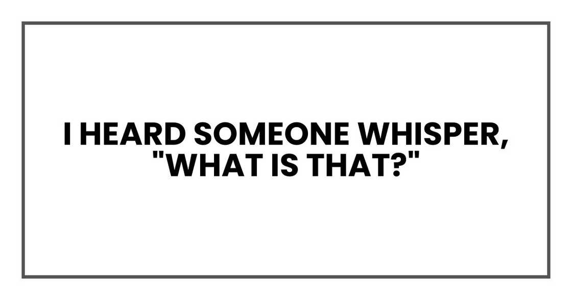 I heard someone whisper, "What is that?"