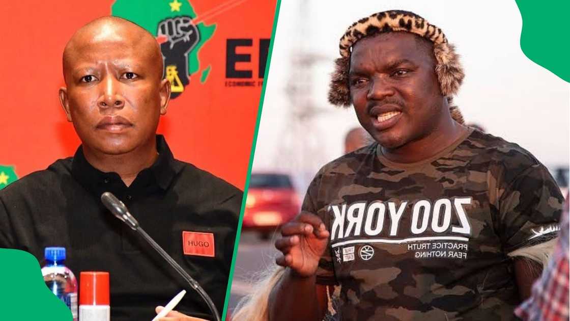 Ngizwe Mchunu questions why Malema was allowed to go home