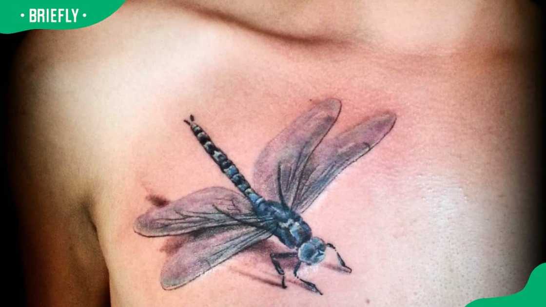 Realistic dragonfly tattoo Realistic dragonfly tattoo