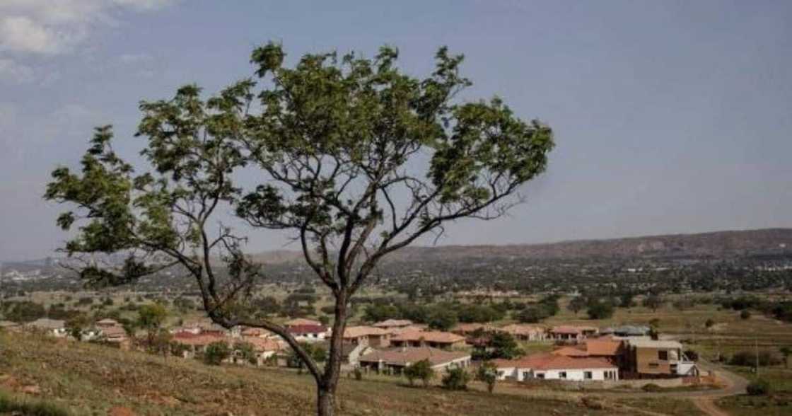 House hustles, South Africans return to small town, build mansions, Lady Selborne, Pretoria House hustles, South Africans return to small town, build mansions, Lady Selborne, Pretoria