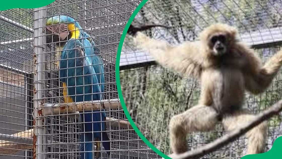 aquariums in gauteng aquariums in gauteng