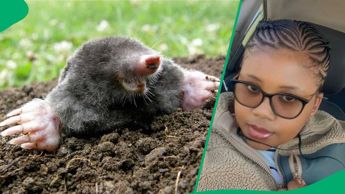 A woman's daughter brought a "cute" mole home.