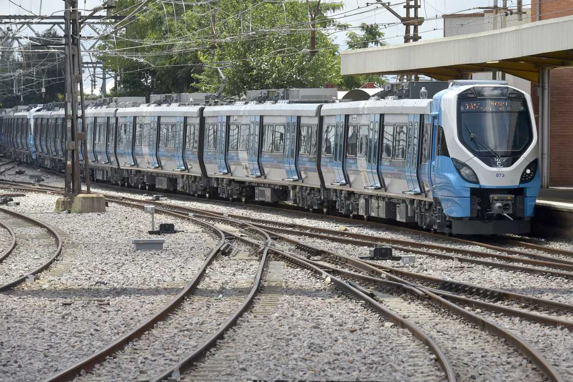 Metrorail train on the tracks.