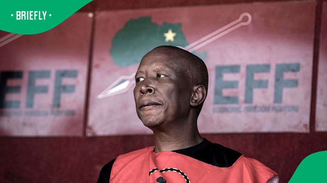 Julius Malema is in the Eastern Cape for his pre-sentencing hearing Julius Malema is in the Eastern Cape for his pre-sentencing hearing