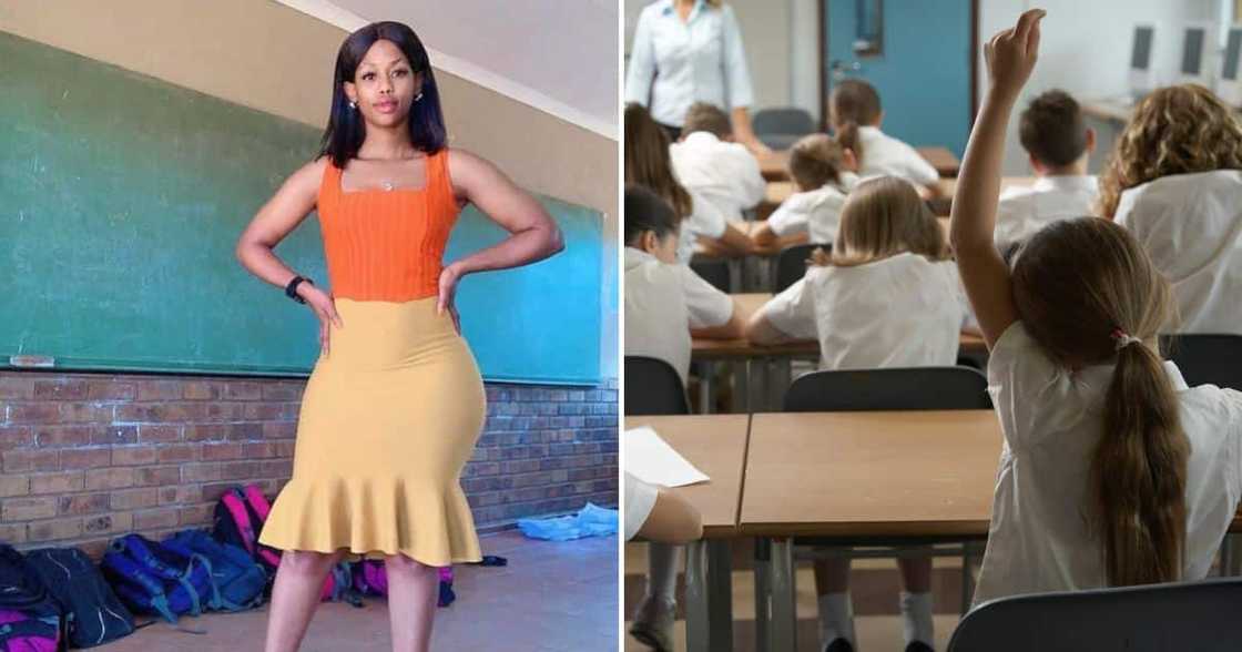 curvy school teachers curvy school teachers