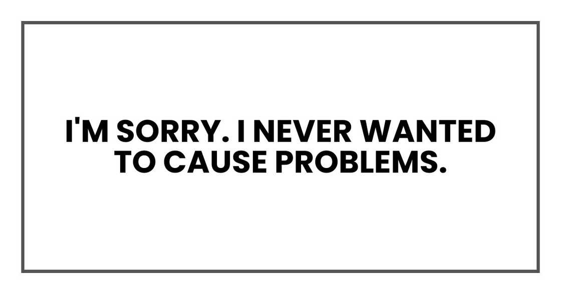 I'm sorry. I never wanted to cause problems. I'm sorry. I never wanted to cause problems.