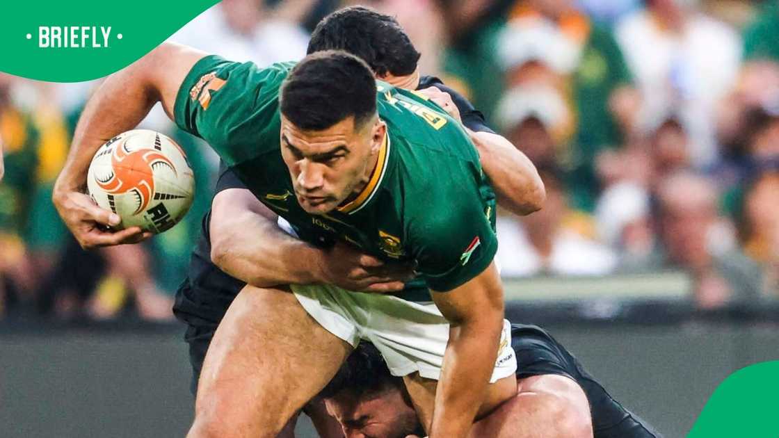 South Africa, Springboks, All Blacks, New Zealand South Africa, Springboks, All Blacks, New Zealand