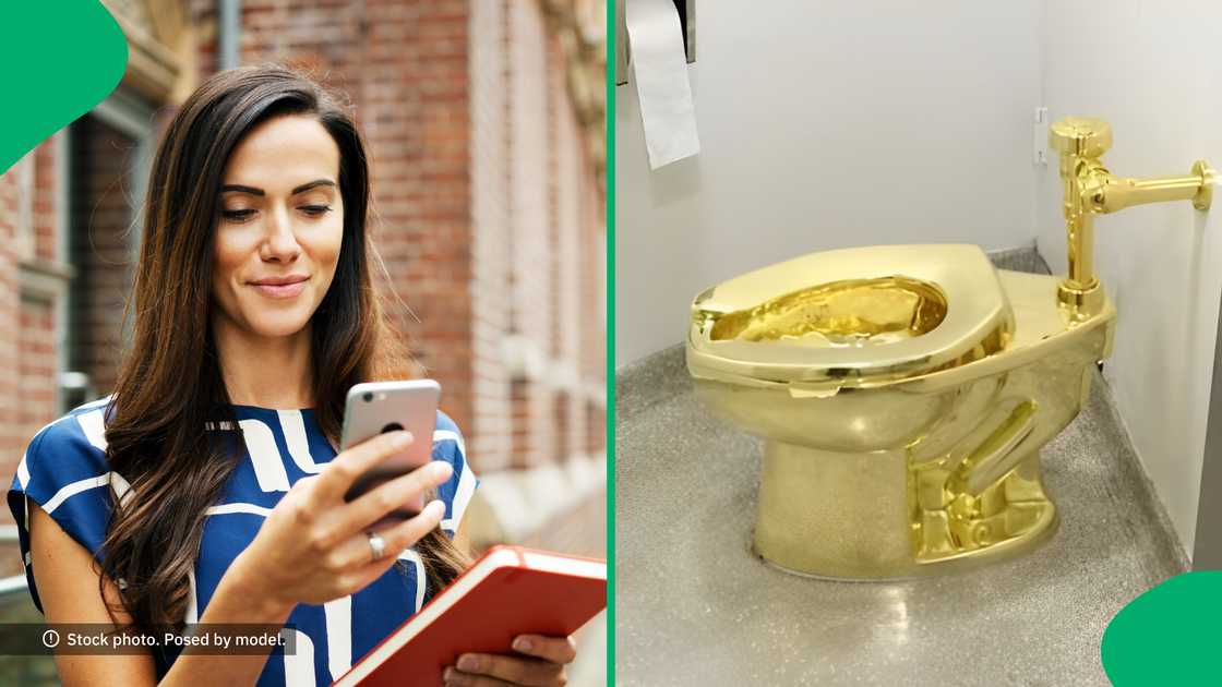 A gold toilet worth about R111 779 712,00 was stolen from the Blenheim Palace in September 2019, and netizens had a lot to say about it.