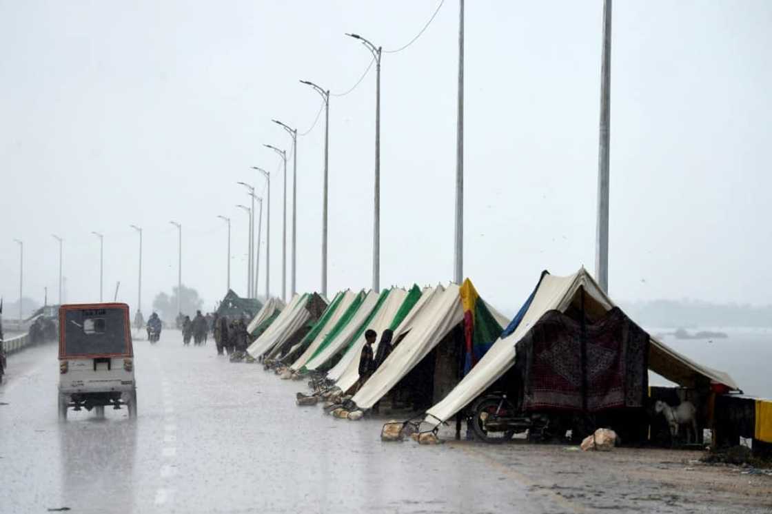 Highways are frequently the only dry places in a landscape of flooded farmlands in pakistan's southern Sindh province