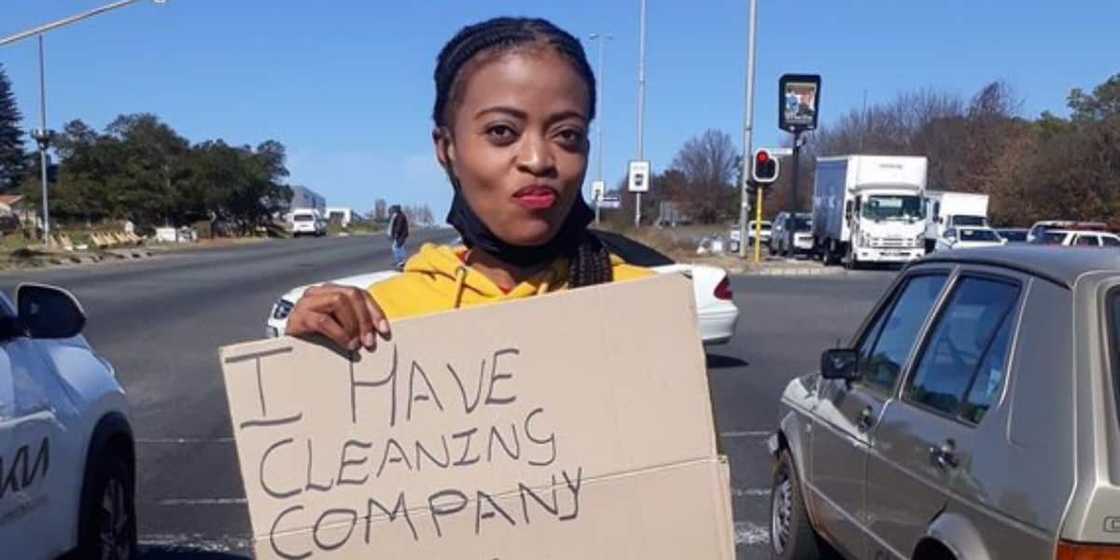 Rent a Maid, hustle, cleaning company Rent a Maid, hustle, cleaning company