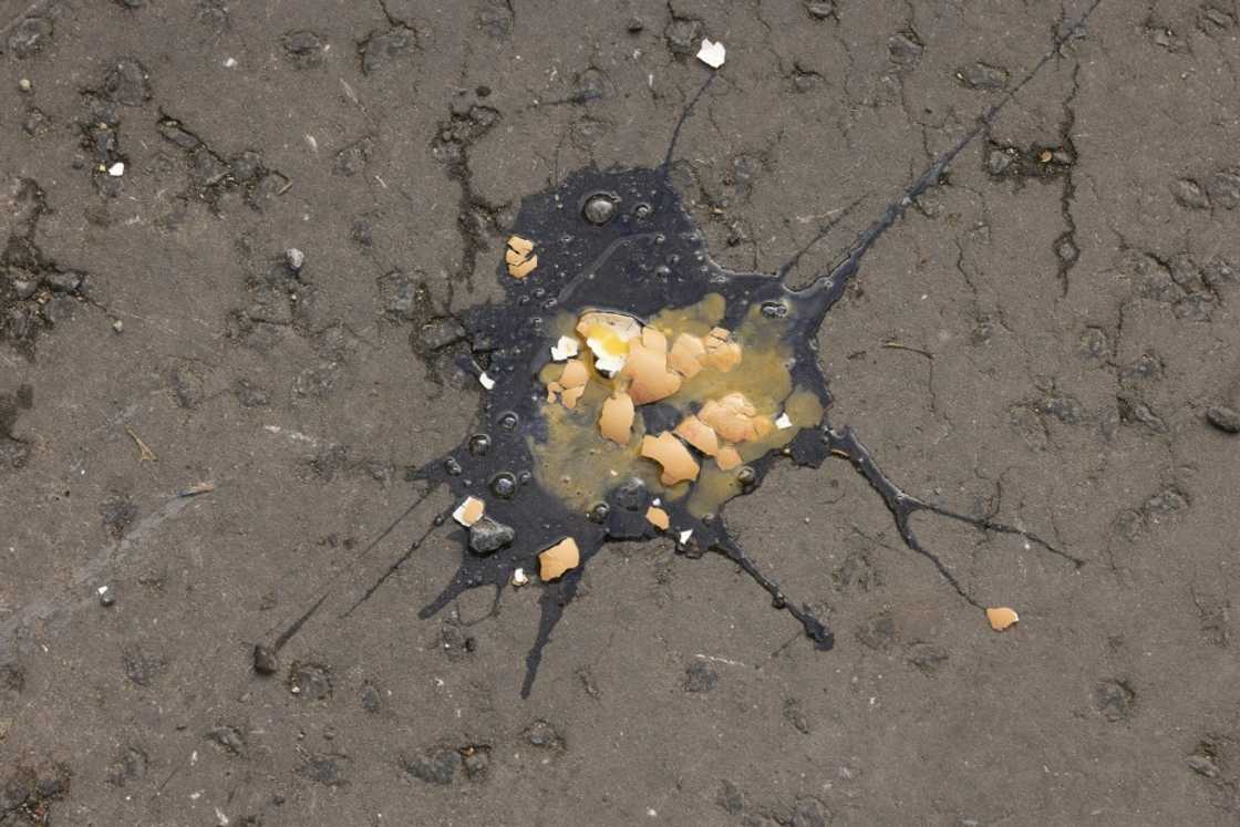 Egg was visible on the ground as the king passed Egg was visible on the ground as the king passed