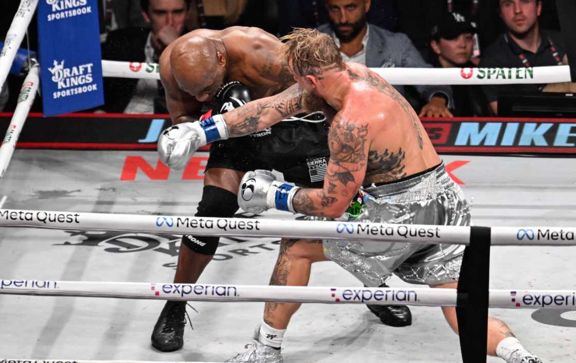 Jake Paul vs Mike Tyson, PaulTyson Jake Paul vs Mike Tyson, PaulTyson