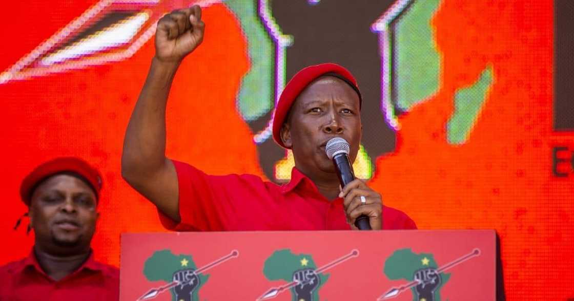 Julius Malema, PAN African Parly, unite Africans Julius Malema, PAN African Parly, unite Africans