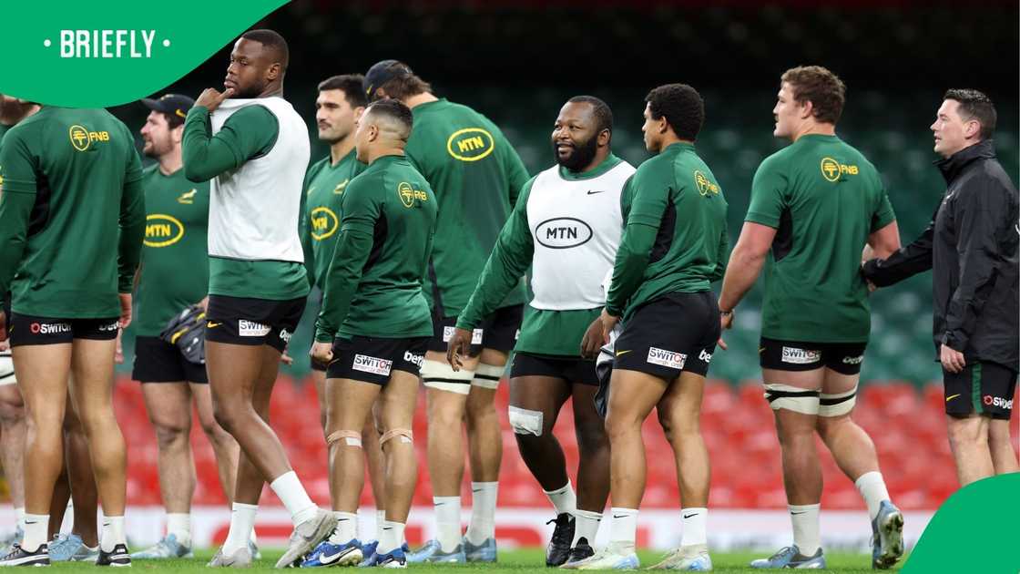 The Springboks have returned to training.