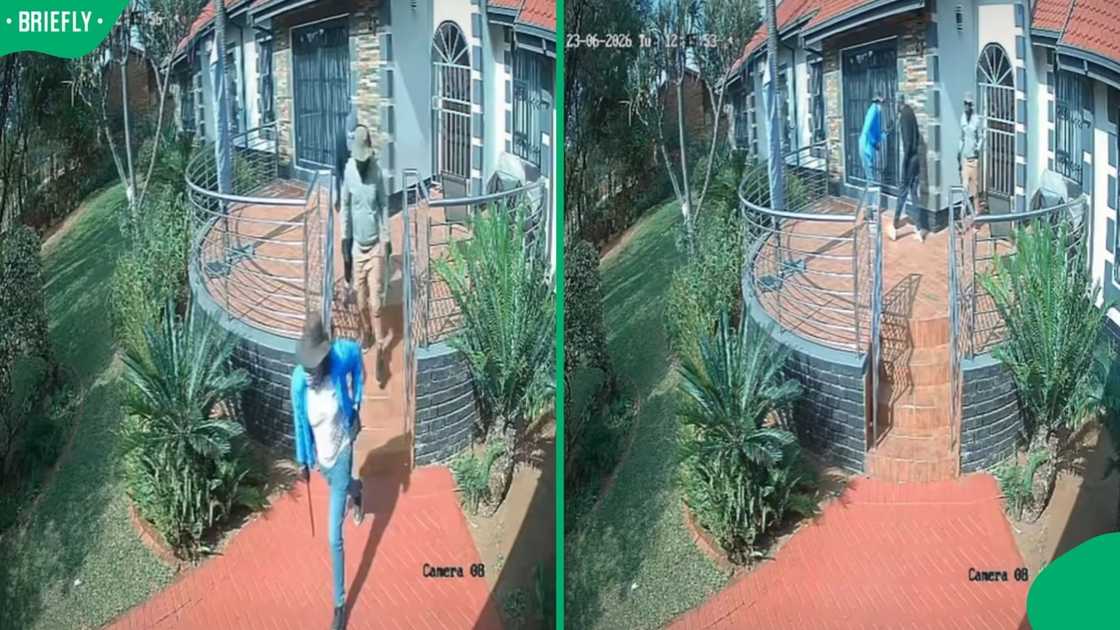 burglars