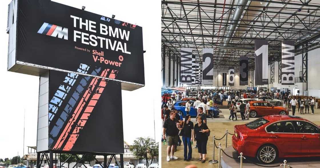 bmw m bmw m