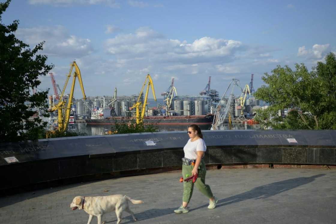 Russian warships and landmines Kyiv has laid to avert a feared amphibious assault are blocking the export of Ukrainian grain Russian warships and landmines Kyiv has laid to avert a feared amphibious assault are blocking the export of Ukrainian grain