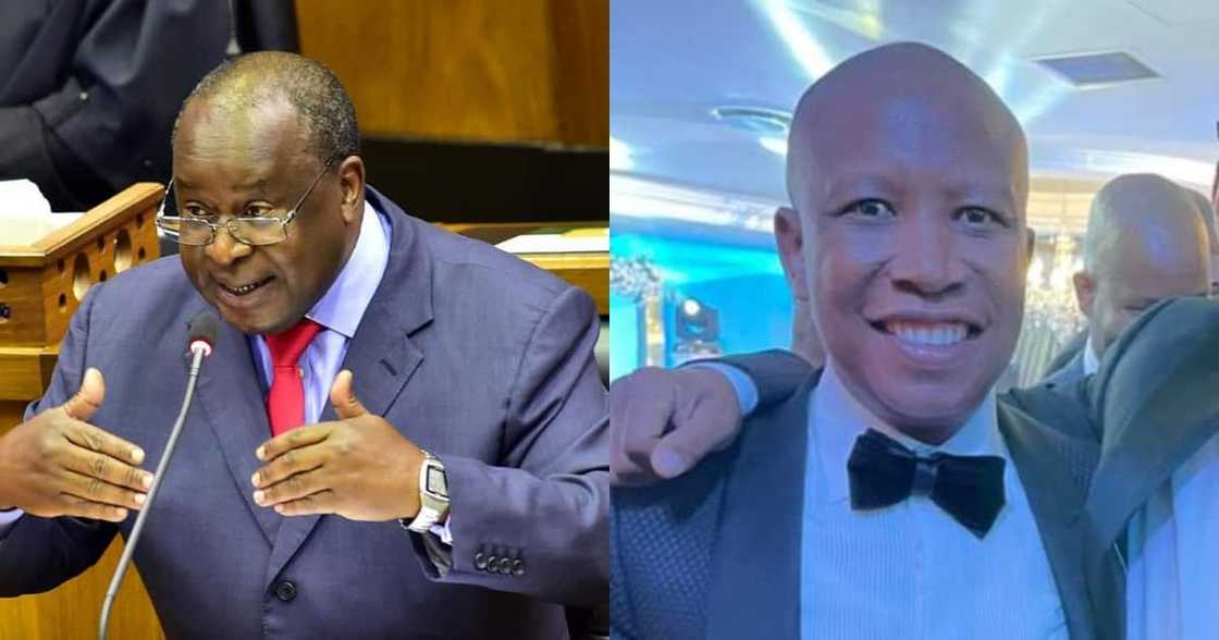I Feel for You: Tito Mboweni Posts About Julius Malema's Love for ANC I Feel for You: Tito Mboweni Posts About Julius Malema's Love for ANC