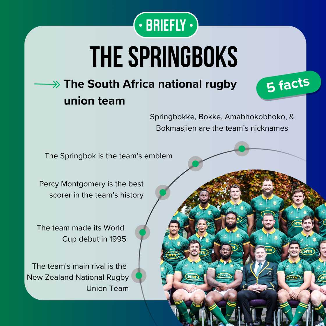 Top 5 facts about The Springboks Top 5 facts about The Springboks
