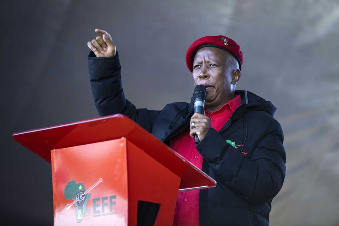 Julius Malema recently turned 44